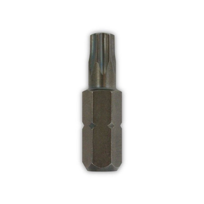 INS Inserto con impronta TORX T-15 L25 mm - Friulsider