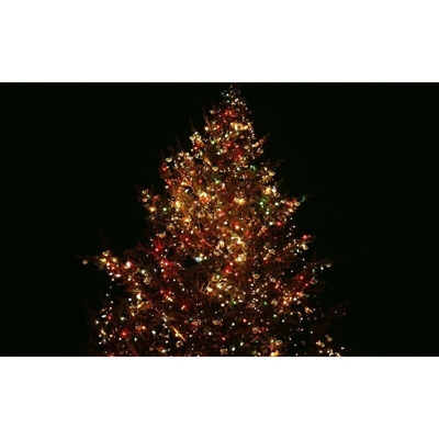 Catena luminosa di natale 120 maxi led multicolor mt.10,50 prolungabile 30pz - Salone Negozio On Line