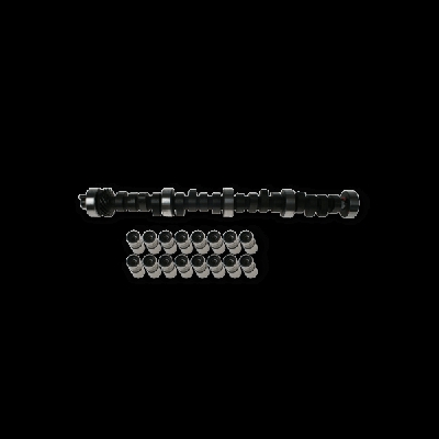 ET ENGINETEAM Kit albero a camme HV0341  VW,SKODA,AUDI,Golf V Hatchback (1K1),POLO (9N_),Golf IV Hatchback (1J1),TOURAN (1T1, 1T2)