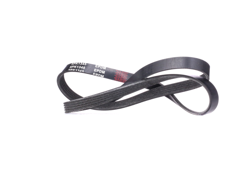 RIDEX Cinghia Poly-V 305P0174  LANCIA,VOLVO,HYUNDAI,DELTA I (831AB0),Prisma (831_),V40 Station Wagon (645),S40 I (644),GALLOPER II (JK-01) en oferta