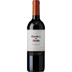 RESERVA CARMENERE 2019 - CASILLERO DEL DIABLO - CONCHA Y TORO precio