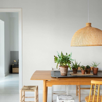 Secchio di vernice Bio-sostenibile da 4L lux | bianco - bianco - Titan