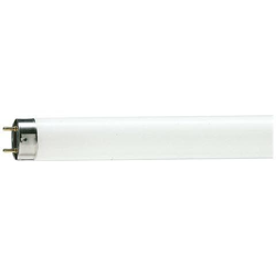 MASTER TL-D 90 Graphica, T8, G13, Bianco, B, Illuminazione fredda, Bianco precio