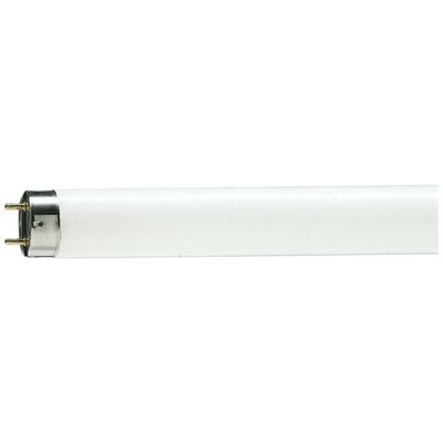 MASTER TL-D 90 Graphica, T8, G13, Bianco, B, Illuminazione fredda, Bianco