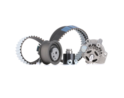 METELLI Pompa Acqua + Kit Cinghia Distribuzione 30-0879-1 Pompa Acqua + Kit Cinghie Dentate,Pompa VW,AUDI,FORD,Golf V Hatchback (1K1),POLO (9N_) características