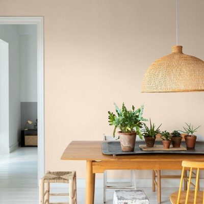 Secchio di vernice Bio-sostenibile da 4L lux | Sabbia bianca - Sabbia bianca - Titan