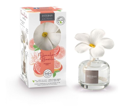 Esteban-paris - ESTEBAN PARIS DIFFUSORE FIORE PROFUMATO E RICARICA 75ML POMELO BASILIC PROFUMATORI AMBIENTI