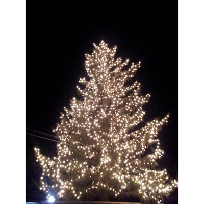 Catena luminosa di natale 120 maxi led bianco caldo mt.10,50 prolungabile 10pz mc - Salone Negozio On Line