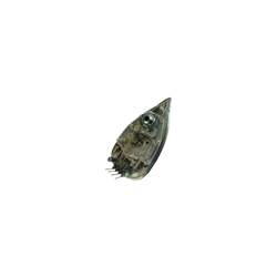 Piastra - Accueil 296501 - Rowenta precio