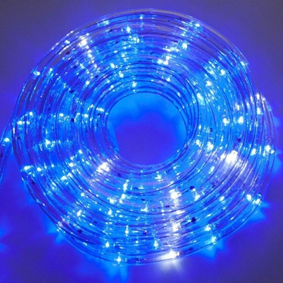 Tubo luminoso a LED verticale 10 metri Blu 4502004X - Wimex