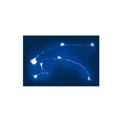 Catena a batteria 1,9 m, 20 microled bianco freddo, cavo metal Luci Natale