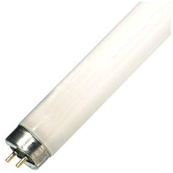 Reglette T8 CW 33' 0001770 - SYL en oferta