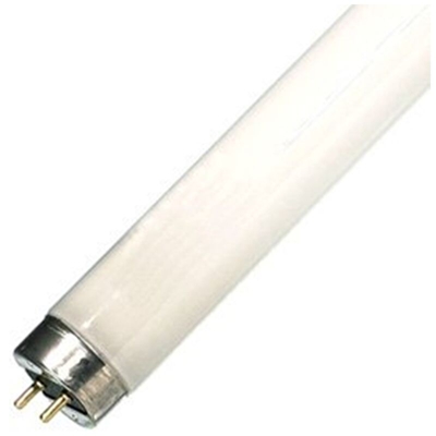 Reglette T8 CW 33' 0001770 - SYL