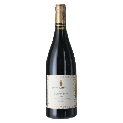 MAGNUM LIEU DIT BONNIVIERES 2018 - YVES CUILLERON precio