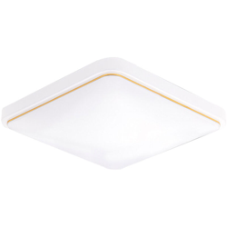 lampada da soffitto a led illuminazione soggiorno AC22V12W luce bianca 22 * ??22,Filo d'oro - Filo d'oro precio