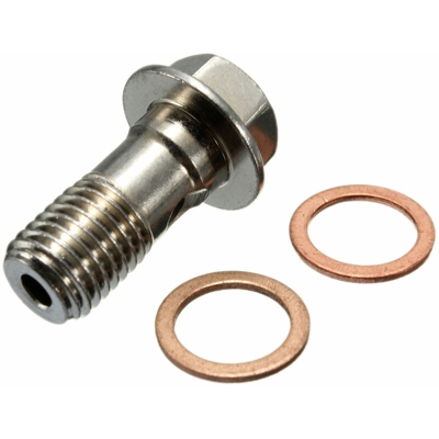Drillpro - Bullone a vite Banjo M10 x 1,25 mm per freno moto in acciaio inossidabile per Honda Kawasaki