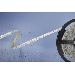 Striscia LED 51540831 51540831 RGB N/A - Barthelme Basic precio