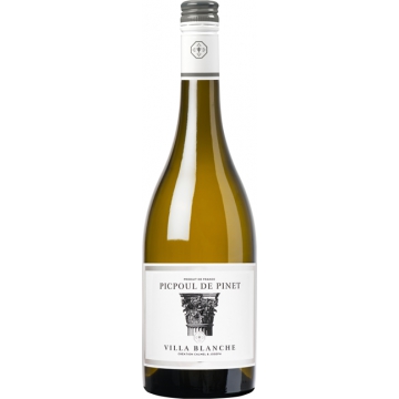 PICPOUL DE PINET 2020 - VILLA BLANCHE - CALMEL & JOSEPH