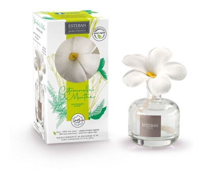 Esteban-paris - ESTEBAN PARIS DIFFUSORE FIORE PROFUMATO E RICARICA 75ML CITRO&MENTHE PROFUMATORI AMBIENTI