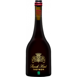 THEYRON ROUGE 2019 - DOMAINE DE THEYRON - PUECH HAUT precio