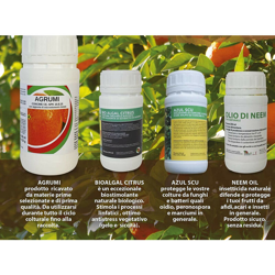 Bio A.l.t - Kit Magnifico agrumeto características