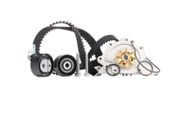 METELLI Pompa Acqua + Kit Cinghia Distribuzione 30-0862-1 Pompa Acqua + Kit Cinghie Dentate,Pompa FIAT,PEUGEOT,CITROËN,Ulysse (179_),Scudo Van (220_) características
