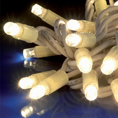 Serie Luci Natalizie 60 LED luce calda con Flash 4501315 - Wimex