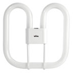 LAMPADA FLUORESCENTE 2D 6400K 21W GR8/2 PIN SPA 12060726 - Wiva Group en oferta