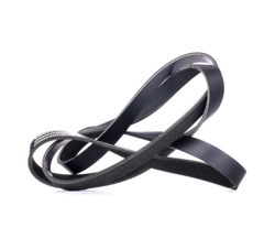 RIDEX Cinghia Poly-V 305B0283  FIAT,RENAULT,DACIA,PUNTO (188),Doblo Cargo (223_),Doblo Station Wagon (119_, 223_),Strada Pick-up (178_) características