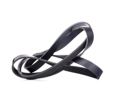 RIDEX Cinghia Poly-V 305B0283  FIAT,RENAULT,DACIA,PUNTO (188),Doblo Cargo (223_),Doblo Station Wagon (119_, 223_),Strada Pick-up (178_)
