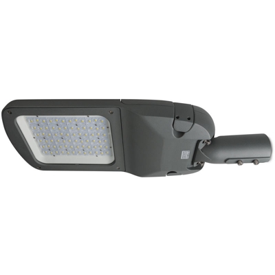 Lampione A Led Lumileds 5050/Meanwell 150W 160Lm/W IP65 | Bianco Freddo (1916-SL150W-G-CW)