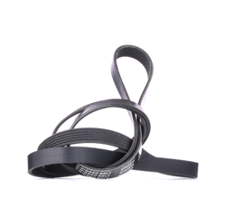 RIDEX Cinghia Poly-V 305P0145  VOLVO,MERCEDES-BENZ,VW,V70 III (135),240 Kombi (P245),S80 II (124),240 (P242, P244),F12,Classe C Sedan (W204) en oferta