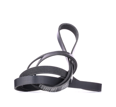 RIDEX Cinghia Poly-V 305P0145  VOLVO,MERCEDES-BENZ,VW,V70 III (135),240 Kombi (P245),S80 II (124),240 (P242, P244),F12,Classe C Sedan (W204)