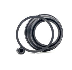 AUTOFREN SEINSA Kit Revisione Pinze Freno D4012 Kit riparazione, Pinza freno RENAULT,4 (112_),4 Furgonato (R21_, R23_),5 (122_),6 (118_) características