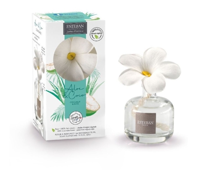 Esteban-paris - ESTEBAN PARIS DIFFUSORE FIORE PROFUMATO E RICARICA 75ML ALOE&COCO PROFUMATORI AMBIENTI