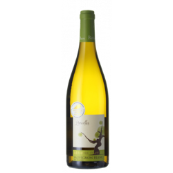 SAUVIGNON 2019 - RETHORE DAVY precio