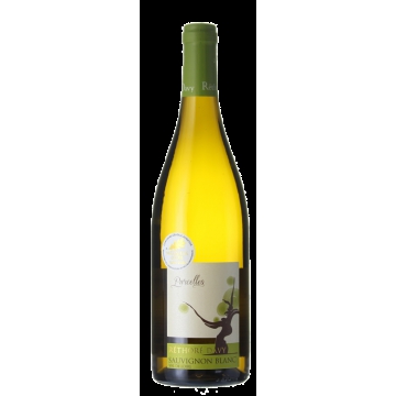 SAUVIGNON 2019 - RETHORE DAVY