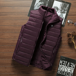 Gilet da uomo riscaldato intelligente con ricarica USB, riscaldamento e gilet in cotone caldo,vino rosso 5XL - vino rosso 5XL precio