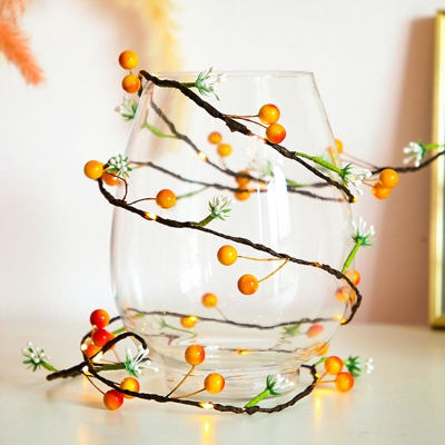 LED stringa di luce filo di rame frutta rattan lampada ragazza decorazione della stanza del cuore di Natale e Capodanno vacanza Luci di nozze lampada