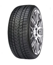Gripmax Status Pro Winter ( 285/50 R20 112H DOT2017 ) características