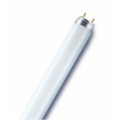 lampada neon natura banco salumi carne 90cm 30 watt G13 osr 010540