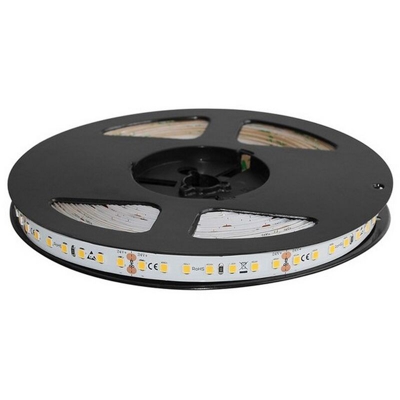 Striscia Led Professionale 5 metri SMD 2835 IP20 85W 24V Bianco Freddo 6500K
