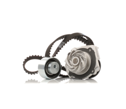 RIDEX Pompa Acqua + Kit Cinghia Distribuzione 3096W0315 Pompa Acqua + Kit Cinghie Dentate,Pompa FIAT,LANCIA,ABARTH,PANDA (169),PUNTO (188) características