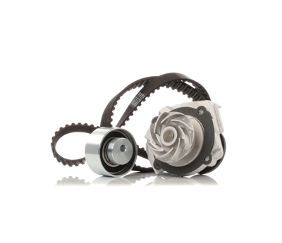 RIDEX Pompa Acqua + Kit Cinghia Distribuzione 3096W0315 Pompa Acqua + Kit Cinghie Dentate,Pompa FIAT,LANCIA,ABARTH,PANDA (169),PUNTO (188)