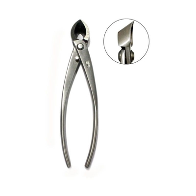 Crespi Bonsai - Tronchese concavo - 203 mm - Ryuga - A544/06