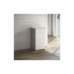 Joyshop - Armadio con 2 classificatori - Dimensione 45cm | Grigio características