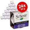 Schesir in Gelatina 24 x 85 g - Tonnetto con Quinoa