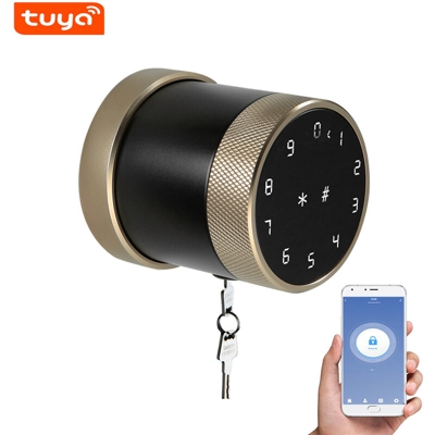 Metodo di sblocco della serratura intelligente Tuya BT: telecomando APP mobile / password / scheda / bluetooth / chiave senza impronta digitale