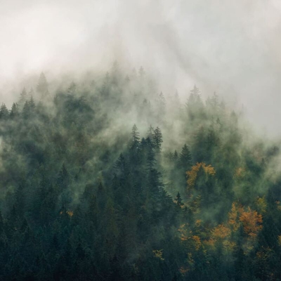 Komar Foto Murale Tales of the Carpathians 300x250 cm - Multicolore