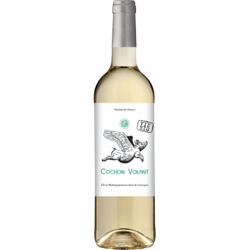 COCHON VOLANT BLANC 2020 - CHATEAU DE CARAGUILHES precio